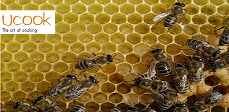 Τo μέλι περιέχει 180 διαφορετικές ουσίες